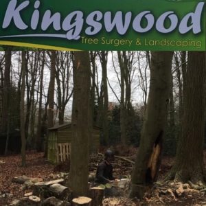 Kingswood Tree Surgery & Landscaping Logo